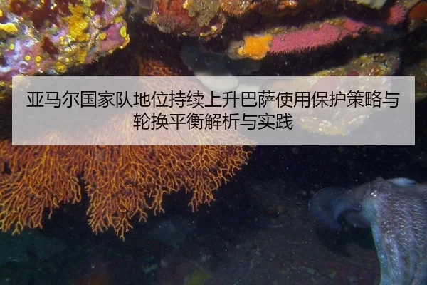 ya-ma-er-guo-jia-dui-di-wei-chi-xu-shang-sheng-ba-sa-shi-yong-bao-hu-ce-lve-yu-lun-huan-ping-heng-jie-xi-yu-shi-jian-2-366.jpg